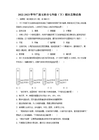 2022-2023学年广西玉林市七年级（下）期末生物试卷（含解析）