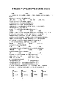 期末测试复习卷(三)-2022-2023学年苏教版生物七年级下册
