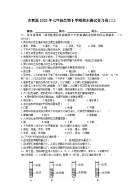 期末测试复习卷(三)-2022-2023学年苏教版生物七年级下册