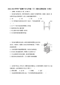 2022-2023学年广西南宁市七年级（下）期末生物试卷（B卷）（含解析）