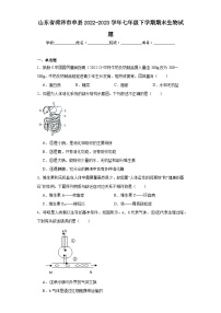 山东省菏泽市单县2022-2023学年七年级下学期期末生物试题（含答案）