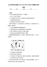 山东省菏泽市定陶区2022-2023学年八年级下学期期末生物试题（含答案）