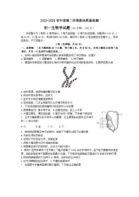山东省烟台市牟平区(五四制)2022-2023学年六年级下学期期末考试生物试题(含答案)