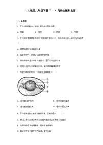 人教版 (新课标)八年级下册第四节 鸟的生殖和发育精品课时训练