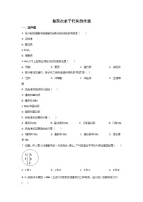 初中生物人教版 (新课标)八年级下册第七单元 生物圈中生命的延续和发展第二章  生物的遗传和变异第二节  基因在亲子代间的传递优秀精练