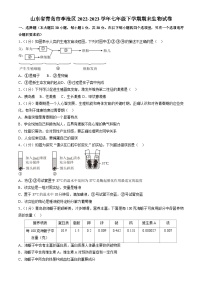 山东省青岛市李沧区2022-2023学年七年级下学期期末生物试卷（含答案）