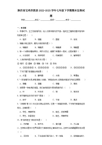 陕西省宝鸡市陇县2022-2023学年七年级下学期期末生物试题（含答案）