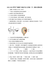 2022-2023学年广西南宁市经开区七年级（下）期末生物试卷（含解析）