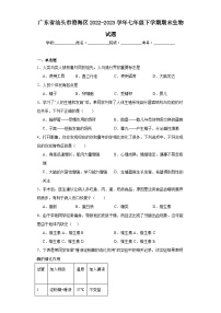 广东省汕头市澄海区2022-2023学年七年级下学期期末生物试题（含答案）