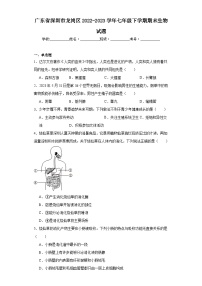 广东省深圳市龙岗区2022-2023学年七年级下学期期末生物试题（含答案）