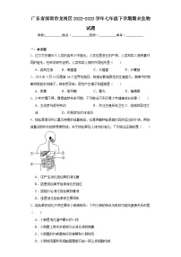 广东省深圳市龙岗区2022-2023学年七年级下学期期末生物试题(含答案)