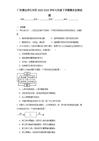 广西崇左市江州区2022-2023学年七年级下学期期末生物试题（含答案）