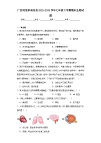 广西河池市南丹县2022-2023学年七年级下学期期末生物试题（含答案）