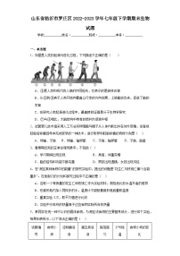 山东省临沂市罗庄区2022-2023学年七年级下学期期末生物试题（含答案）