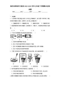 陕西省渭南市大荔县2022-2023学年七年级下学期期末生物试题（含答案）