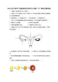 广东省深圳市龙华区2022-2023学年七年级下学期期末生物试卷(含答案)