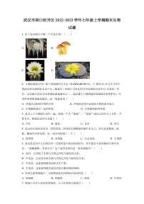 湖北省武汉市硚口经开区2022-2023学年七年级上学期期末生物试题