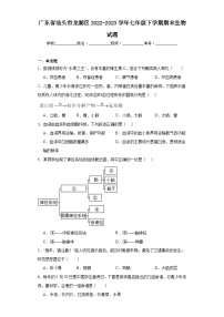 广东省汕头市龙湖区2022-2023学年七年级下学期期末生物试题（含答案）