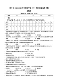 广西柳州市2022-2023学年七年级下学期期末生物试题（含答案）