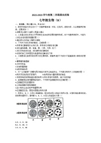 河北省邯郸市大名县2022-2023学年七年级下学期6月期末生物试题（含答案）