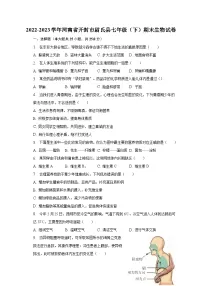 2022-2023学年河南省开封市尉氏县七年级(下)期末生物试卷(含解析)