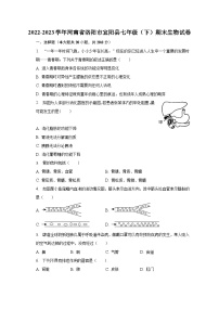 2022-2023学年河南省洛阳市宜阳县七年级（下）期末生物试卷（含解析）