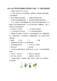 2022-2023学年河北省廊坊市香河县八年级(下)期末生物试卷(含解析)