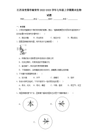 江西省宜春市高安市2022-2023学年七年级上学期期末生物试题（含答案）