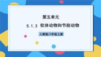 人教版 (新课标)八年级上册第三节   软体动物和节肢动物获奖作业课件ppt