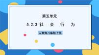 初中生物人教版 (新课标)八年级上册第三节 社会行为一等奖作业ppt课件