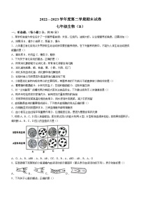 河北省邯郸市大名县2022-2023学年七年级下学期期末生物试题