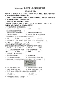 河北省保定市清苑区2022-2023学年八年级下学期期末生物试题（含答案）