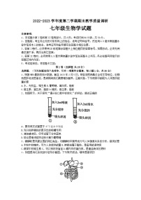 山东省济宁市梁山县2022-2023学年七年级下学期期末测试生物试题（含答案）