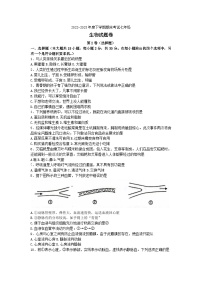 广西岑溪市2022-2023学年七年级下学期末考试生物试题（含答案）