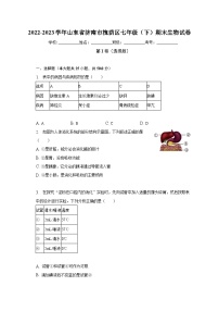 山东省济南市槐荫区2022-2023学年七年级下学期期末生物试卷（含答案）