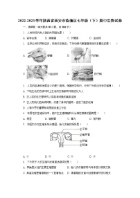 2022-2023学年陕西省西安市临潼区七年级（下）期中生物试卷（含解析）