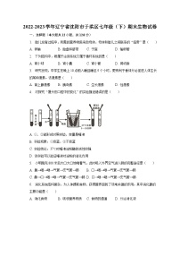 2022-2023学年辽宁省沈阳市于洪区七年级（下）期末生物试卷（含解析）