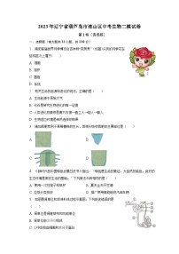 2023年辽宁省葫芦岛市连山区中考生物二模试卷（含解析）