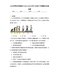 山东省青岛市城阳区2022-2023学年七年级下学期期末生物试题（含答案）