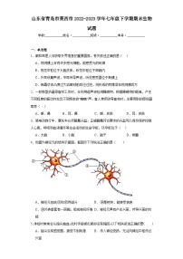 山东省青岛市莱西市2022-2023学年七年级下学期期末生物试题（含答案）