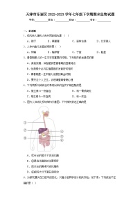 天津市东丽区2022-2023学年七年级下学期期末生物试题（含答案）