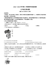 山东省德州市临邑县2022-2023学年七年级下学期期末生物试题（含答案）