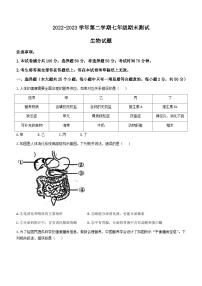 山东省德州市平原县2022-2023学年七年级下学期期末生物试题（含答案）