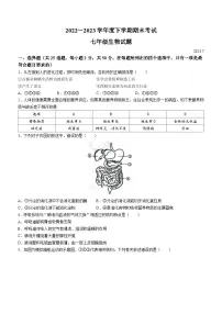 山东省临沂市临沭县2022-2023学年七年级下学期期末生物试题（含答案）