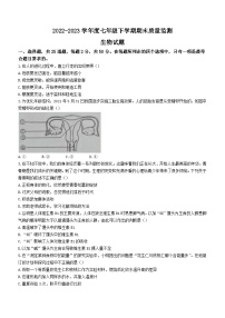 山东省临沂市郯城县2022-2023学年七年级下学期期末生物试题（含答案）