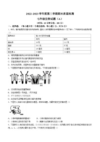 山东省滨州市滨城区2022-2023学年七年级下学期期末生物试题（含答案）