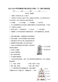 河南省开封市杞县2022-2023学年七年级下学期期末生物试卷（含答案）