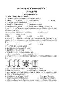 山东省临沂市莒南县2022-2023学年七年级下学期期末生物试题（含答案）