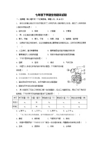 吉林省长春市榆树市慧望初级中学2022-2023学年七年级下学期期末生物试题（含答案）