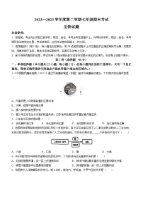 山东省济南市商河县2022-2023学年七年级下学期期末生物试题（含答案）